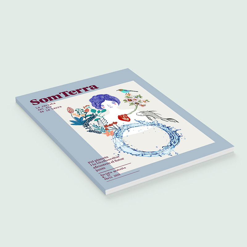 Diseño editorial - SomTerra 2020